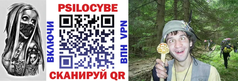 сколько стоит  Томилино  Псилоцибиновые грибы GOLDEN TEACHER 